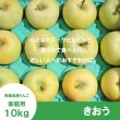 画像2: きおう　家庭用　１０kg（約28-40個）≪送料込≫ (2)