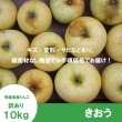 画像2: きおう　訳あり　１０kg（約40個程度）≪送料込≫ (2)