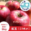 画像1: ※10月上旬発送※ 紅玉　訳あり　９kg（約46個前後） ≪送料込≫ (1)