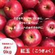 画像2: ※10月上旬発送※ 紅玉　訳あり　９kg（約46個前後） ≪送料込≫ (2)