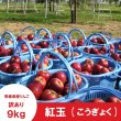 画像4: ※10月上旬発送※ 紅玉　訳あり　９kg（約46個前後） ≪送料込≫ (4)