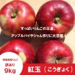 画像3: ※10月上旬発送※ 紅玉　訳あり　９kg（約46個前後） ≪送料込≫ (3)