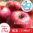 画像1: ※10月上旬発送※ 紅玉　家庭用　２.７kg（約11-13個） ≪送料込≫ (1)