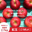 画像2: ※10月上旬発送※ 紅玉　家庭用　２.７kg（約11-13個） ≪送料込≫ (2)