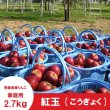 画像4: ※10月上旬発送※ 紅玉　家庭用　２.７kg（約11-13個） ≪送料込≫ (4)