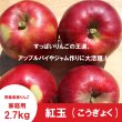 画像3: ※10月上旬発送※ 紅玉　家庭用　２.７kg（約11-13個） ≪送料込≫ (3)