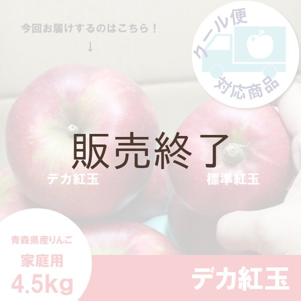 画像1: ※10/11〜10/17限定販売※ デカ紅玉　家庭用　4.5kg（約12-14個） ≪送料込≫ (1)