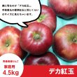 画像2: ※10/11〜10/17限定販売※ デカ紅玉　家庭用　4.5kg（約12-14個） ≪送料込≫ (2)