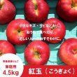 画像2: ※10月上旬発送※ 紅玉　家庭用　９kg（約40-46個） ≪送料込≫ (2)