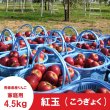 画像4: ※10月上旬発送※ 紅玉　家庭用　９kg（約40-46個） ≪送料込≫ (4)