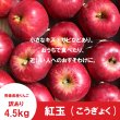 画像2: ※10月上旬発送※ 紅玉　訳あり　４.５kg（約23個前後） ≪送料込≫ (2)