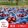 画像4: ※10月上旬発送※ 紅玉　訳あり　４.５kg（約23個前後） ≪送料込≫ (4)