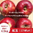 画像3: ※10月上旬発送※ 紅玉　訳あり　４.５kg（約23個前後） ≪送料込≫ (3)