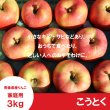 画像2: ※11月下旬発送※ こうとく　家庭用　３kg （約9-14個）≪送料込≫ (2)