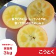 画像3: ※11月下旬発送※ こうとく　家庭用　３kg （約9-14個）≪送料込≫ (3)