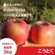 画像1: ※11月下旬発送※ こうとく　家庭用　３kg （約9-14個）≪送料込≫ (1)