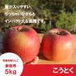 画像1: ※11月中旬発送※ こうとく　訳あり　３kg ≪送料込≫ (1)