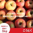 画像2: ※11月中旬発送※ こうとく　訳あり　５kg ≪送料込≫ (2)