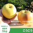 画像1: こうこう　家庭用　５kg（約14-20個）≪送料込≫ (1)