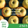 画像2: こうこう　家庭用　５kg（約14-20個）≪送料込≫ (2)