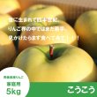 画像3: こうこう　家庭用　５kg（約14-20個）≪送料込≫ (3)