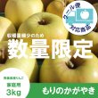 画像1: ※10月中旬発送※ もりのかがやき　家庭用　３kg （約9-12個）≪送料込≫ (1)