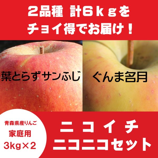 画像1: 【ニコイチセット】葉とらずサンふじ＆ぐんま名月　家庭用　３kg×２箱 ≪送料込≫ (1)