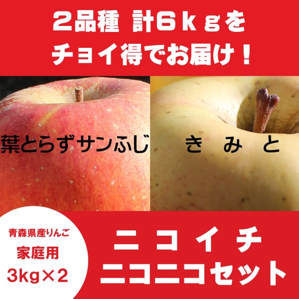 画像1: 【ニコイチセット】葉とらずサンふじ＆きみと　家庭用　３kg×２箱 ≪送料込≫ (1)