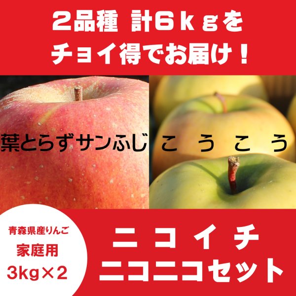 画像1: 【ニコイチセット】葉とらずサンふじ＆こうこう　家庭用　３kg×２箱 ≪送料込≫ (1)