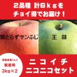 画像1: 【ニコイチセット】葉とらずサンふじ＆王林　家庭用　３kg×２箱 ≪送料込≫ (1)