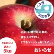 画像1: ※10月下旬発送※ おいらせ　訳あり　５kg（約14個前後）≪送料込≫ (1)