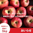 画像2: ※10月下旬発送※ おいらせ　訳あり　５kg（約14個前後）≪送料込≫ (2)