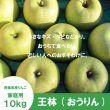 画像2: ※11月中旬発送※ 王林　家庭用　１０kg（約24-40個）≪送料込≫ (2)