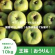 画像2: ※11月中旬発送※ 王林　訳あり　１０kg（約40個程度）≪送料込≫ (2)