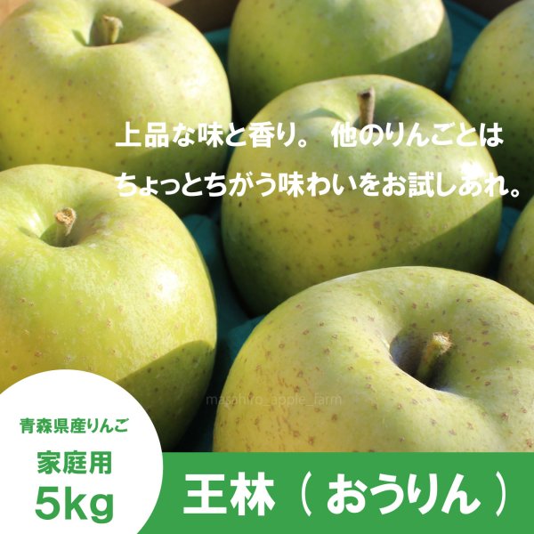 画像1: ※11月中旬発送※ 王林　家庭用　５kg（約12-20個）≪送料込≫ (1)