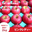 画像1: ★初登場★ ピンクレディー　訳あり　2.5kg（約11〜13個） ≪送料込≫ (1)