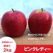 画像3: ★初登場★ ピンクレディー　訳あり　2.5kg（約11〜13個） ≪送料込≫ (3)