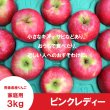 画像2: ★初登場★ ピンクレディー　家庭用　3kg（約11-14個） ≪送料込≫ (2)