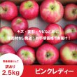 画像2: ★初登場★ ピンクレディー　訳あり　2.5kg（約11〜13個） ≪送料込≫ (2)