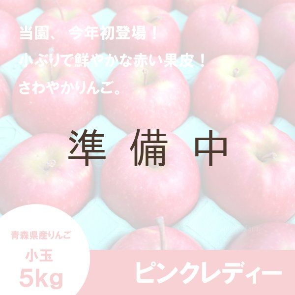 画像1: ★初登場★一箱限定！　ピンクレディー　家庭用 小玉　5kg（30個） ≪送料込≫ (1)