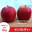 画像3: ★初登場★一箱限定！　ピンクレディー　家庭用 小玉　5kg（30個） ≪送料込≫ (3)