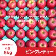 画像2: ★初登場★一箱限定！　ピンクレディー　家庭用 小玉　5kg（30個） ≪送料込≫ (2)