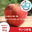 画像1: サンつがる　家庭用　３kg（約7-12個）≪送料込≫ (1)