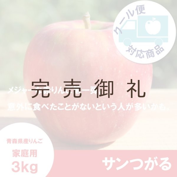 画像1: サンつがる　家庭用　３kg（約7-12個）≪送料込≫ (1)