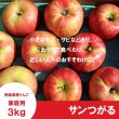 画像2: サンつがる　家庭用　３kg（約7-12個）≪送料込≫ (2)