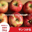 画像3: サンつがる　家庭用　３kg（約7-12個）≪送料込≫ (3)