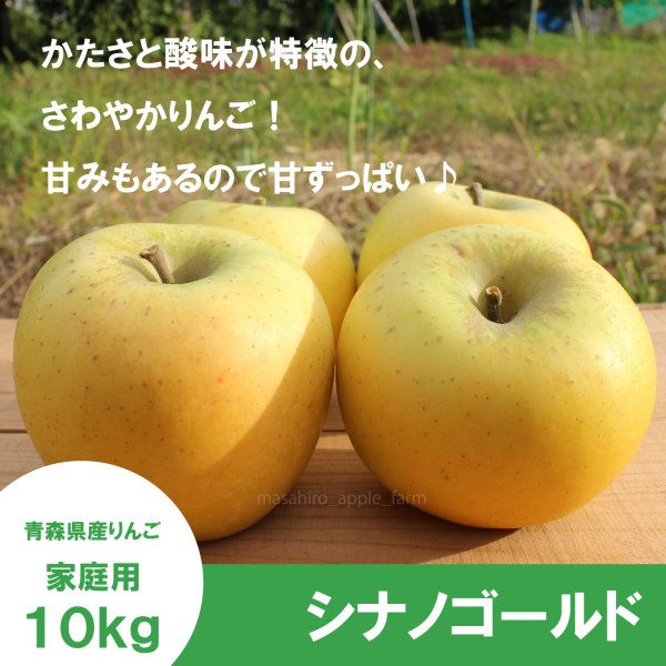 画像1: ※11月中旬発送※ シナノゴールド　家庭用　１０kg（約24-40個）≪送料込≫ (1)