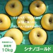 画像2: ※11月中旬発送※ シナノゴールド　家庭用　１０kg（約24-40個）≪送料込≫ (2)