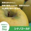 画像3: ※11月中旬発送※ シナノゴールド　家庭用　５kg（約12-20個）≪送料込≫ (3)