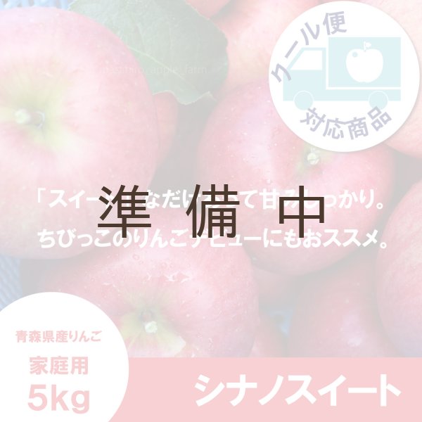 画像1: ※10月下旬発送※ シナノスイート　家庭用　５kg（約14-20個）≪送料込≫ (1)